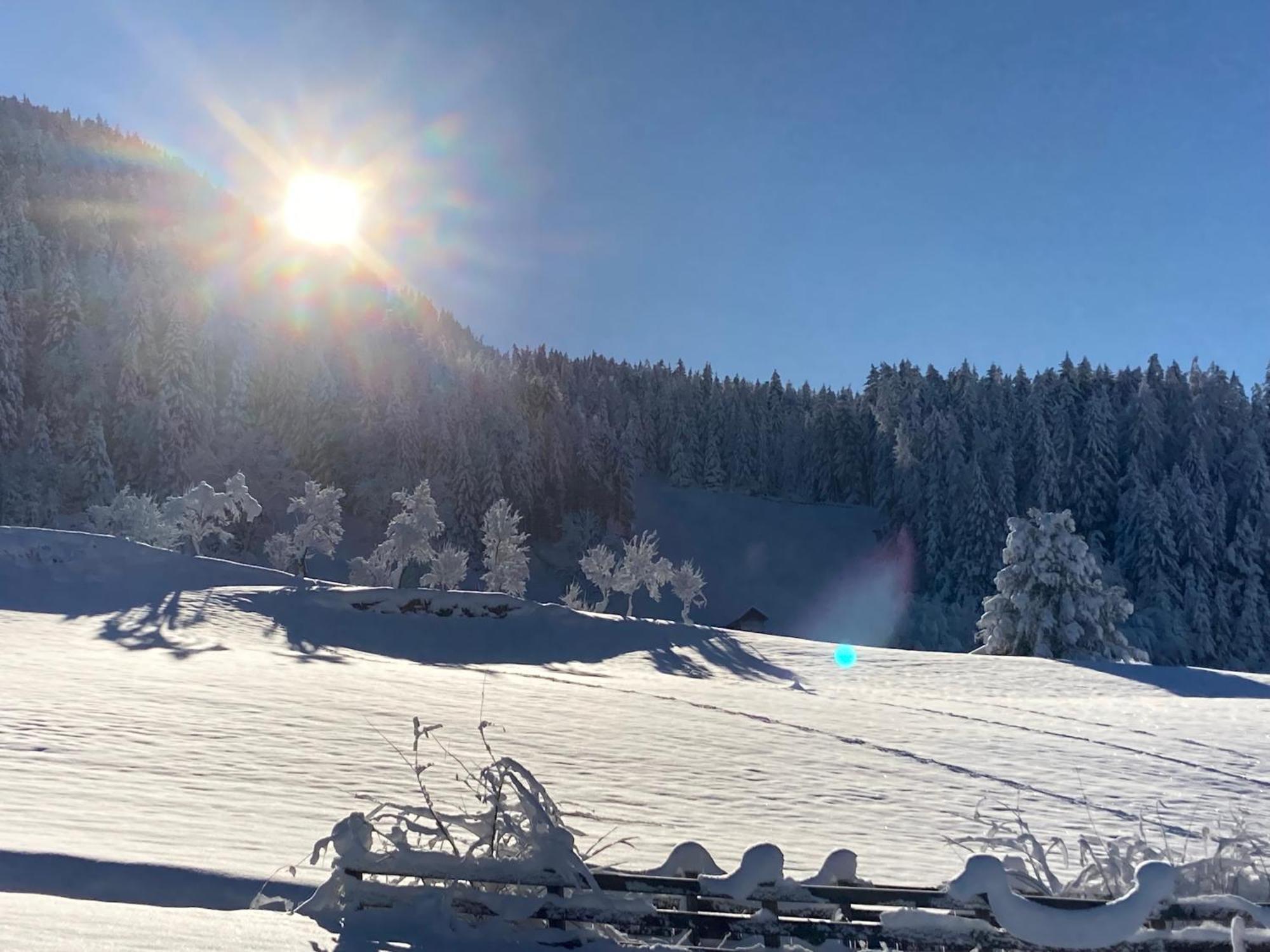 Appart Bergliebe Lejlighed Arzl im Pitztal Eksteriør billede